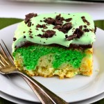 Grasshopper Fudge Cake