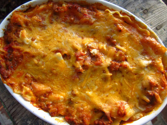 Italian Style Lasagna